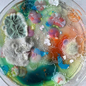 Meet your Posher, Emilija